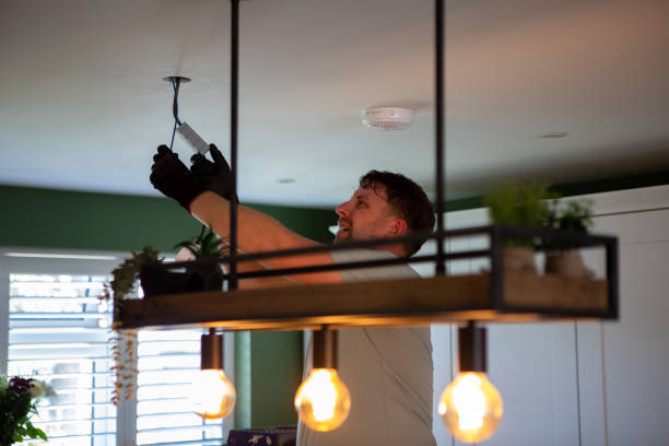 Best Electric Panel Repair  in Madison, IL