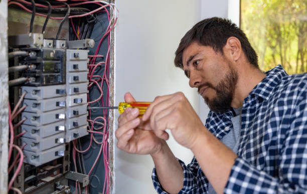 Best Electric Panel Repair  in Madison, IL